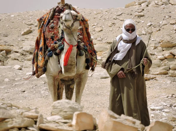Бадршейн Египет Марта 2015 Египетский Водитель Верблюда Верблюд Стая Красочная — стоковое фото