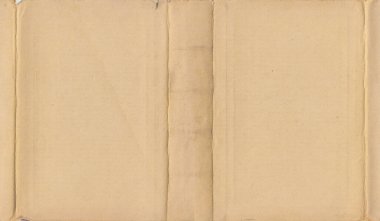 100 yıllık bej kitap kapağı 