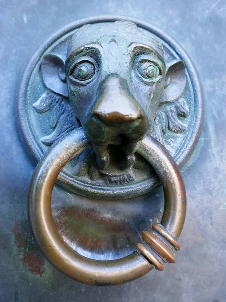 반지달린 손잡이 이것은 오스트 성당으로 들어가는 일부입니다 사자의 얼굴이 것이라고 — 스톡 사진