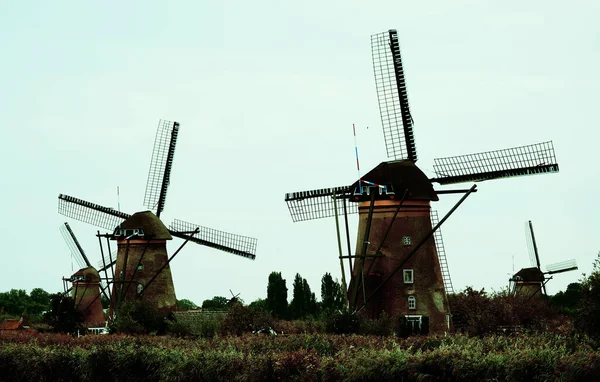 Vier Holländische Windmühlen Vor Hellblauem Himmel Kinderdijk Niederlande Unesco Weltkulturerbe — Stockfoto