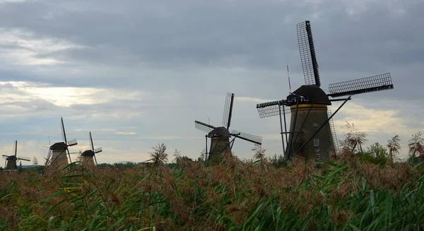 Auf Dem Foto Sind Fünf Der Windmühlen Kinderdijk Niederlande Sie — Stockfoto