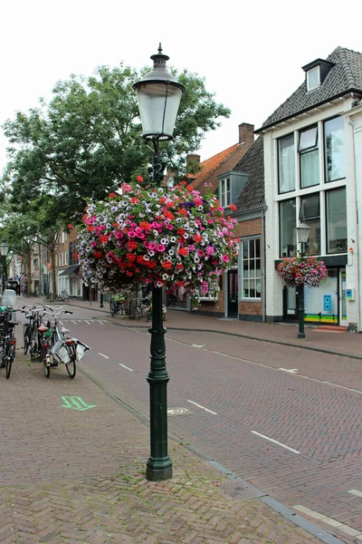 Asılan Çiçek Sepetli Eski Moda Bir Sokak Lambası Çiçekler Esasen — Stok fotoğraf