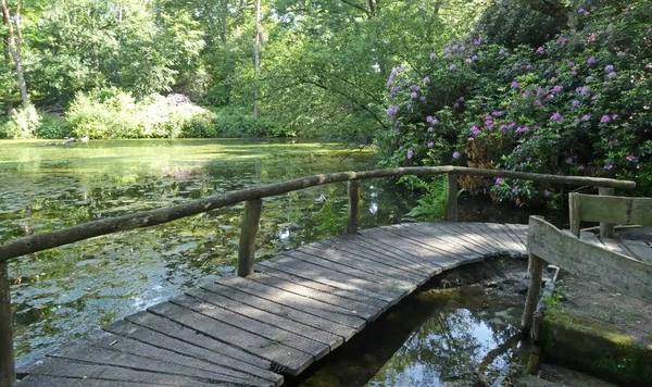 Para Passar Canto Deste Lago Caminho Convés Foi Feito Este — Fotografia de Stock