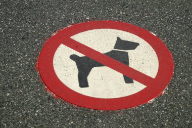 Bu bölge köpekler için yasaktır. Asfalta boyanmış.