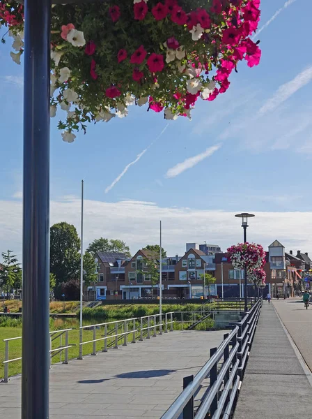 Flower Baskets Lampposts Bridge Dutch Town Hardenberg Baskets Contain Pink — Foto de Stock