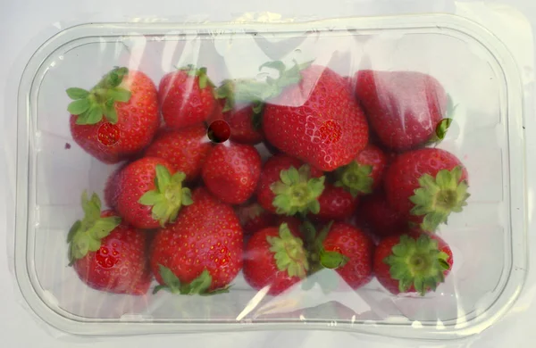 Strawberries Sealed Plastic Box Supermarket Packaging Too Much Plastic Waste — Stock Photo, Image