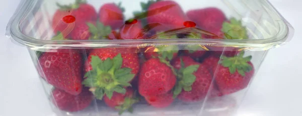 Strawberries Sealed Plastic Box Supermarket Packaging Too Much Plastic Waste — Stockfoto