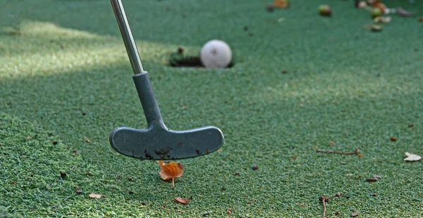 Klubben Slog Bollen Minigolfmatch Bollen Rullar Hålet — Stockfoto