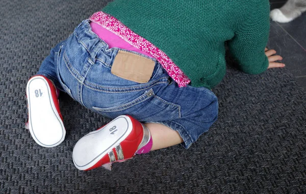 The first red sneakers of a baby girl. European size 18 (UK size 2, US size 3). She is crawling towards a cat