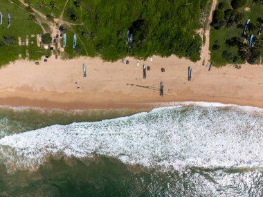 Sri Lanka. Okyanus, sahil dalgaları, kum. Plaj boyunca tropik ağaçlar ve palmiye ağaçları yetişir. Üst görüntü, bir İHA 'dan çekim.