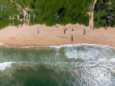Sri Lanka. Okyanus, sahil dalgaları, kum. Plaj boyunca tropik ağaçlar ve palmiye ağaçları yetişir. Üst görüntü, bir İHA 'dan çekim.