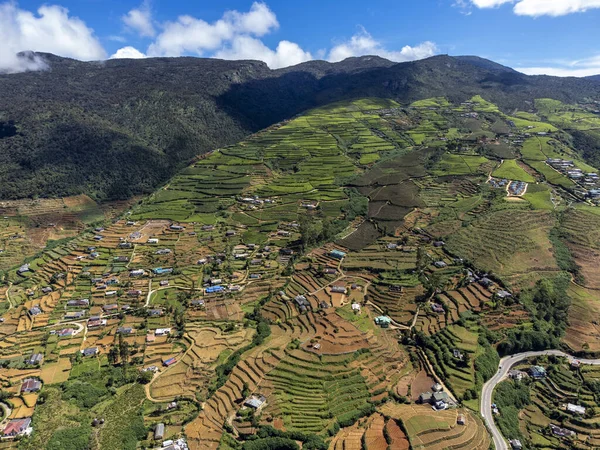 Sri Lanka. Région de Nuwara Eliya. Plantations de thé vert alpin sur les pentes des montagnes. Tirer de l'air sur un drone. Jour ensoleillé, ciel bleu nuageux. — Photo