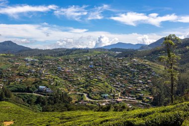 Sri Lanka. Panoramic view of the beautiful city of Nuwara Eliya, located in the mountains among tea plantations. A clear sunny day and blue sky.
