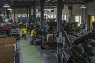 Ceylon. Sri Lanka. Nuwara Eliya. Damro Tea Factory. Interior inside the workshop among the machines. Workers are working.