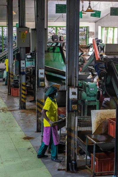 Cejlon. Srí Lanka. Nuwara Eliya. Továrna na čaj Damro. Interiér uvnitř dílny mezi stroji. Pracovníci pracují.. — Stock fotografie