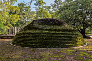 Sri Lanka. Antik Polonnaruwa şehri. Güneşli bir günde turistik bir eğlence..