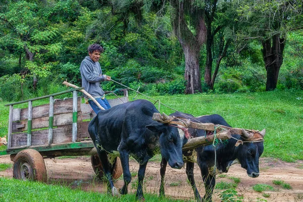 Natalicio Talavera Guaira Paraguay March 2022 Poor Farmer Cart Paraguayan — Stock Photo, Image