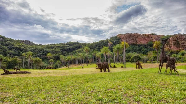 托巴提 巴拉圭 2022年5月9日 用Ysypo创作非洲动物的生命尺寸是一件真正的艺术品 埃斯基维尔在托巴蒂制作了它 是木质攀爬植物 — 图库照片
