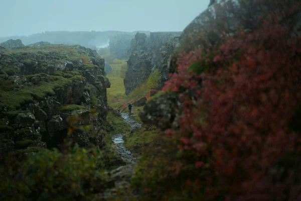 Oxararfoss Trail Paisaje Natural Islandés Del Parque Nacional Thingvellir Islandia —  Fotos de Stock