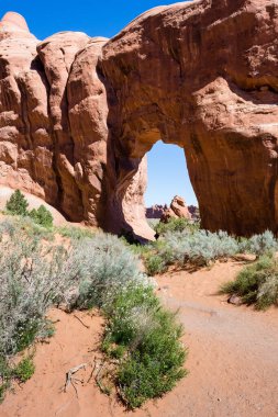 Arches Ulusal Parkı 'ndaki Çam Ağacı Kemeri - Moab, Utah, ABD