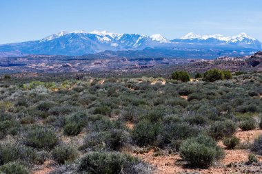 Panorama Point Overlook 'dan La Sal Dağları' nın Arches Ulusal Parkı 'ndaki manzarası - Moab, Utah, ABD