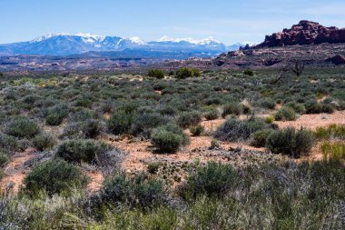 Arches Ulusal Parkı 'ndaki Panorama Point Overlook' dan manzara - Moab, Utah, ABD