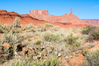 Castle Valley, Utah, ABD 'de Castleton kulesi kaya oluşumu