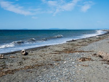 Dungeness Spit sahili, ABD 'deki en uzun kum tükürüğü - Olimpiyat yarımadası, Washington