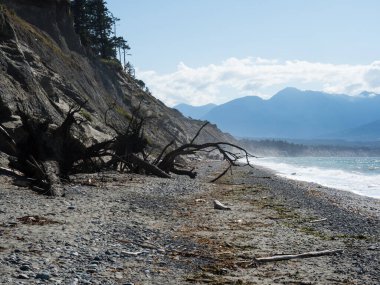 Dungeness Vahşi Yaşam Sığınağı 'ndaki manzara plajı - Olimpiyat Yarımadası, Washington Eyaleti