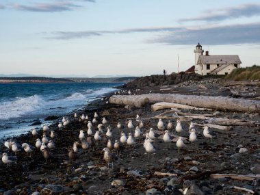 Fort Worden 'daki tarihi Point Wilson Deniz Feneri Manzarası - Port Townsend, WA, ABD