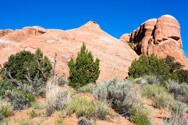 Utsikt Från Devils Garden Trailhead Arches National Park Utah Usa — Stockfoto