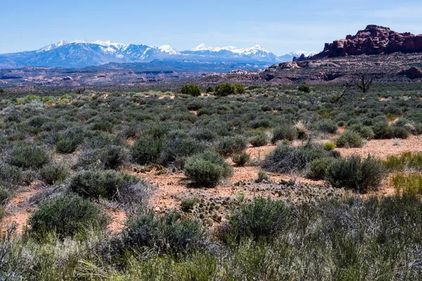 Scenic View Panorama Point Overlook Arches National Park Moab Utah — Stock Photo, Image