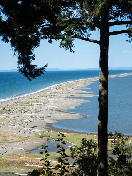 Scenic View Dungeness Spit Longest Sand Spit Olympic Peninsula Washington — Stock Photo, Image