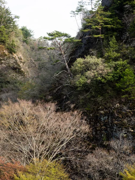 球磨高原の古岩層 愛媛県 — ストック写真