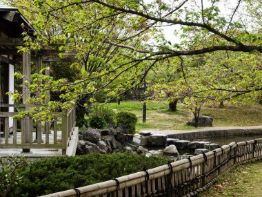 Matsuyama 'daki Jonofuchi Parkı' nda İlkbahar - Ehime Bölgesi, Japonya