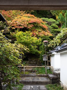 Kiso, Nagano Bölgesi, Japonya - 23 Ekim 2017: Kozenji Tapınağı 'nda sonbahar