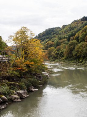 Kiso nehir vadisinde sonbaharın başlarında yaprakların renk değiştirmeye başlamasıyla Agematsu, Nagano, Japonya 'da