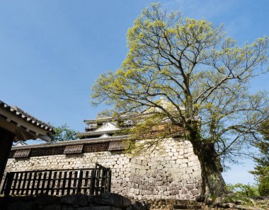 Matsuyama, Ehime İlçesi, Japonya - 11 Nisan 2018: Tarihi Matsuyama Kalesi 'nde İlkbahar