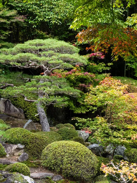 Tradycyjny Japoński Ogród Krajobrazowy Wczesną Jesienią — Zdjęcie stockowe