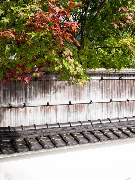 Κόκκινο Σφένδαμο Κατά Της Ιαπωνικής Στυλ Μπαμπού Φράχτη Και Λευκό — Φωτογραφία Αρχείου