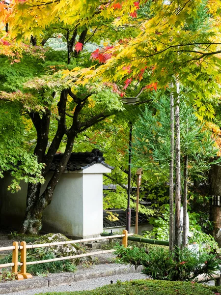 Colores Otoño Jardín Tradicional Japonés — Foto de Stock