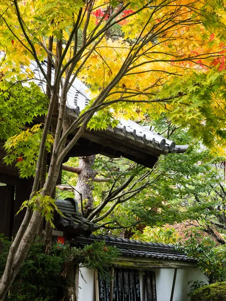 Kolory Jesieni Tradycyjnym Ogrodzie Japońskim — Zdjęcie stockowe