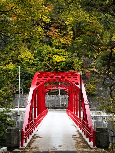 Agematsu Préfecture Nagano Japon Octobre 2017 Pont Rouge Sur Rivière — Photo