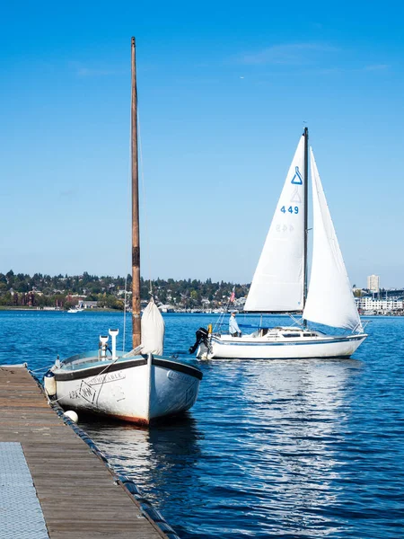 Seattle Usa October 2018 Ιστιοπλοϊκά Σκάφη Στη Λίμνη Union Στη — Φωτογραφία Αρχείου