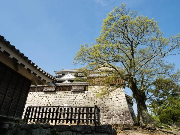 Matsuyama Préfecture Ehime Japon Avril 2018 Printemps Sur Terrain Château — Photo