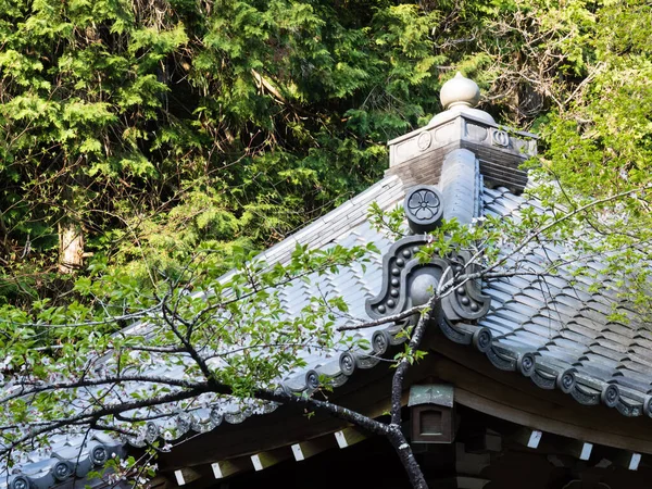 Σκεπασμένη Στέγη Ιαπωνικού Βουδιστικού Ναού Μέσα Κλαδιά Δέντρων Την Άνοιξη — Φωτογραφία Αρχείου