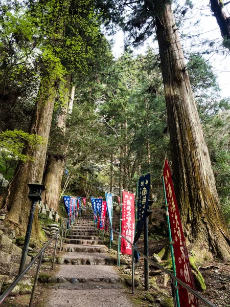 Kumakogen Prefektura Ehime Japonia Kwietnia 2018 Kolorowe Chorągwie Wzdłuż Ścieżki — Zdjęcie stockowe