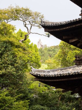 Ishiteji 'nin çatı müfrezesi, Shikoku hacının 51 numaralı tapınağı - Matsuyama, Japonya