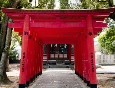 Imabari, Japonya - 11 Nisan 2018: Bekku Oyamazumi türbesi gerekçesiyle Inari Jinja