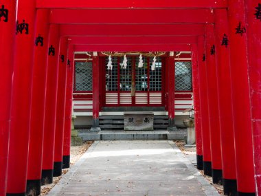 Bekku Oyamazumi Tapınağı 'nda Inari Jinja' nın kırmızı torii kapıları - Imabari, Japonya